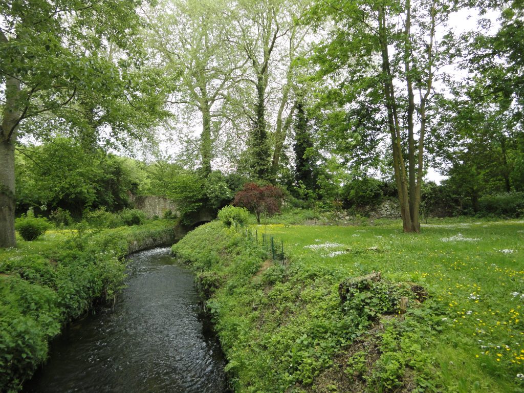 Le ru de Gally au jardin Rennemoulin