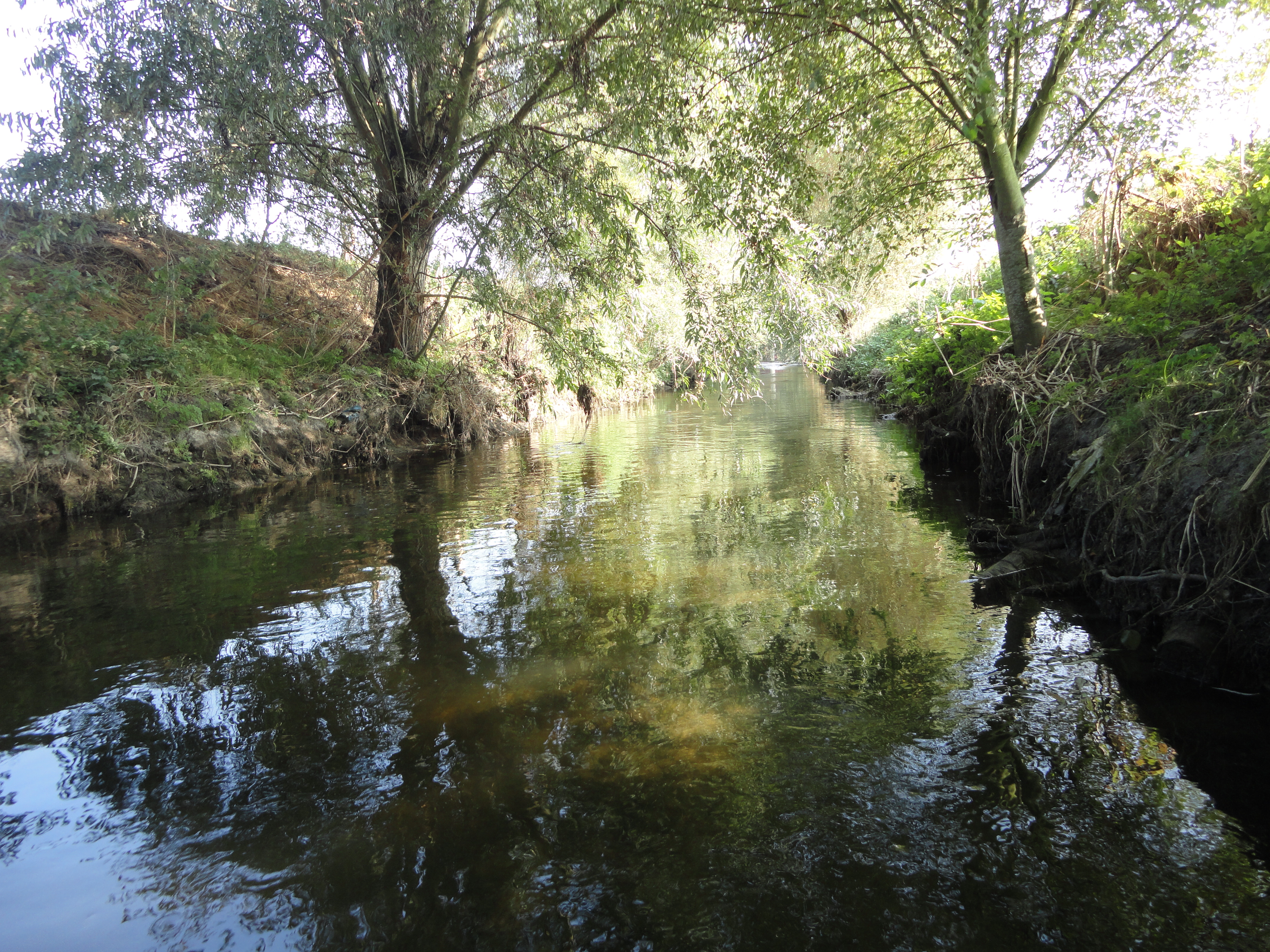 L’action d’Hydreaulys a pour but de préserver le milieu naturel. Les eaux traitées sont rejetées dans le ru de Gally, ici à Rennemoulin (Yvelines)